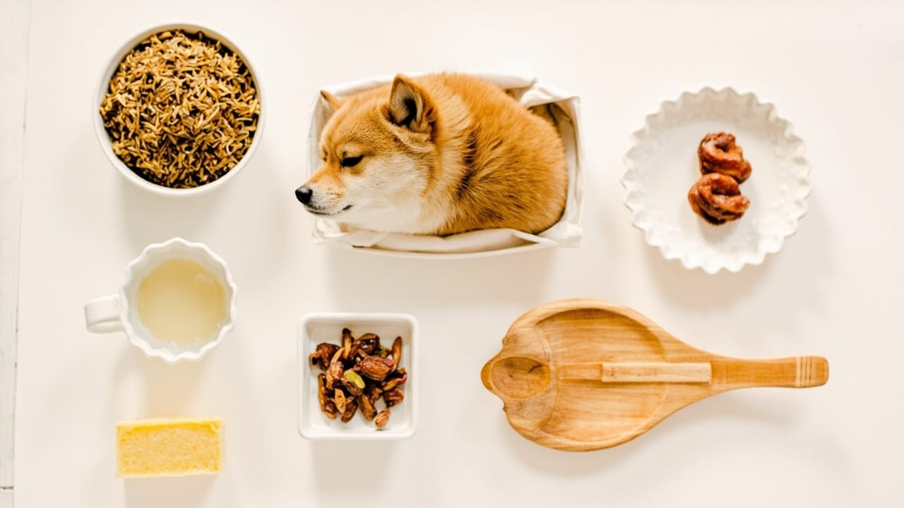 Hvor meget mad skal en Shiba Inu spise om dagen? (Fodringsskema efter vægt)